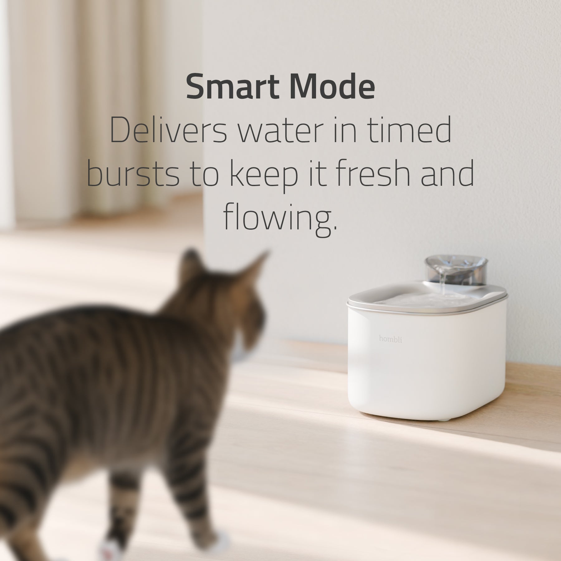 hombli-pet-smart-pet-fountain-trinkbrunnen-3-5l-wlan image 3